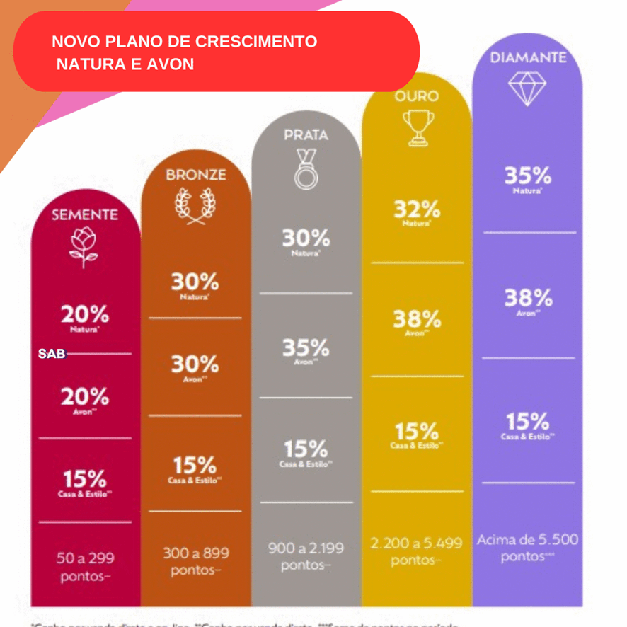 Planos de Crescimento como Revendedora Natura